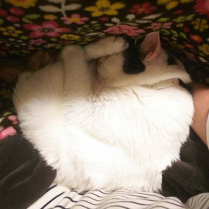 B14f5421 2b7c 431b 9825 3053588cdd0f 1557315843389