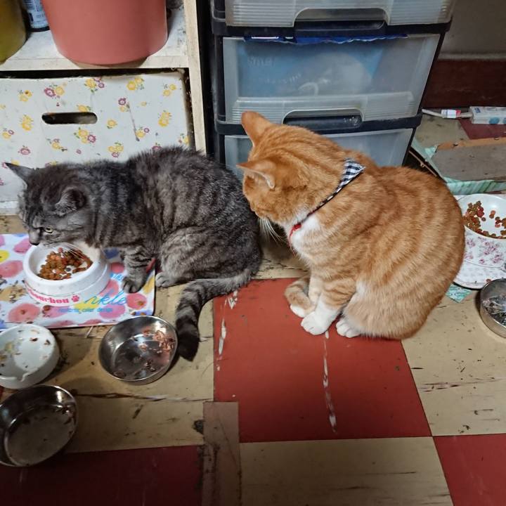 B14f5e34 db1e 404e ae53 7490154309d4 1569551238441