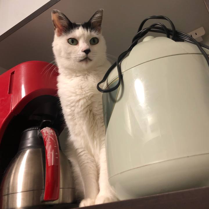 B14f7036 3f63 4b80 8b55 8996f2b75614 1602560322419