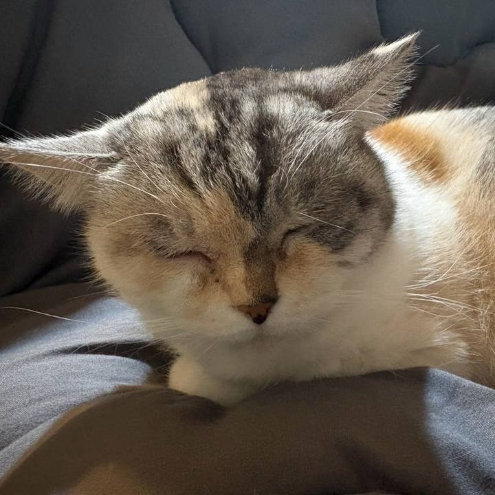 B14fb079 584a 4e36 9948 26a894cd882d 1766487061940