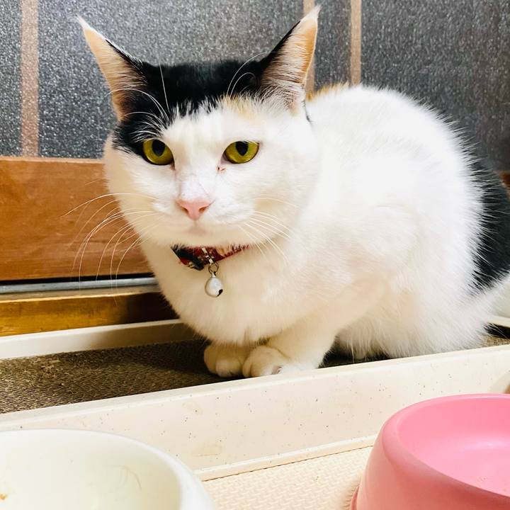 B14fb48b 5284 4cfb bde6 1067f44aa75d 1674308696467