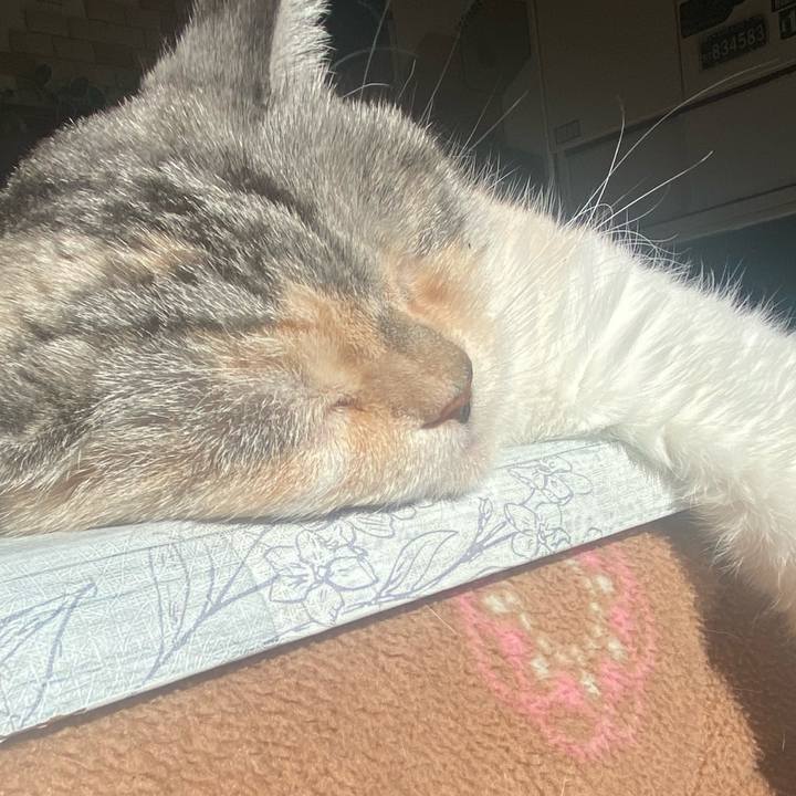 B14fbff5 8624 4eba bc15 781088c444ab 1672542087156