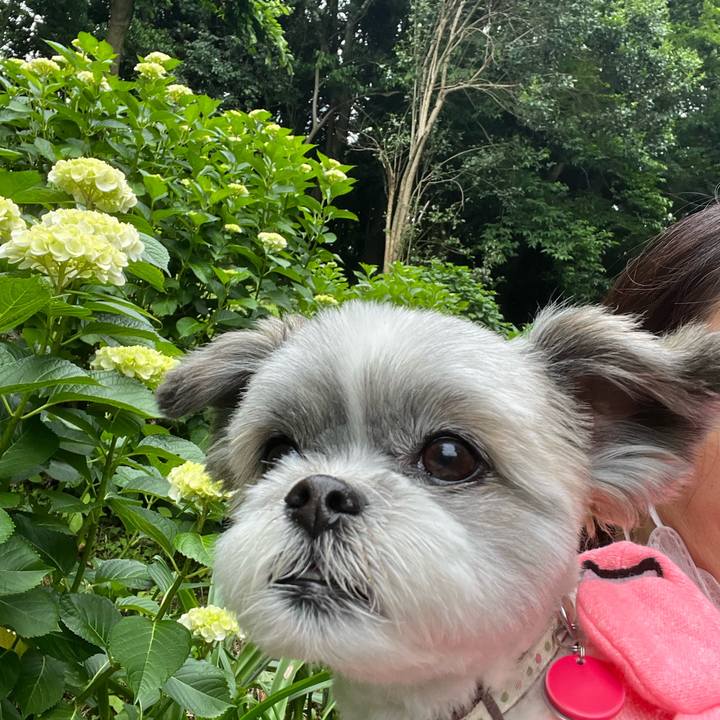 B14fdca7 c854 41df 946c e2f2f837f446 1654674195144