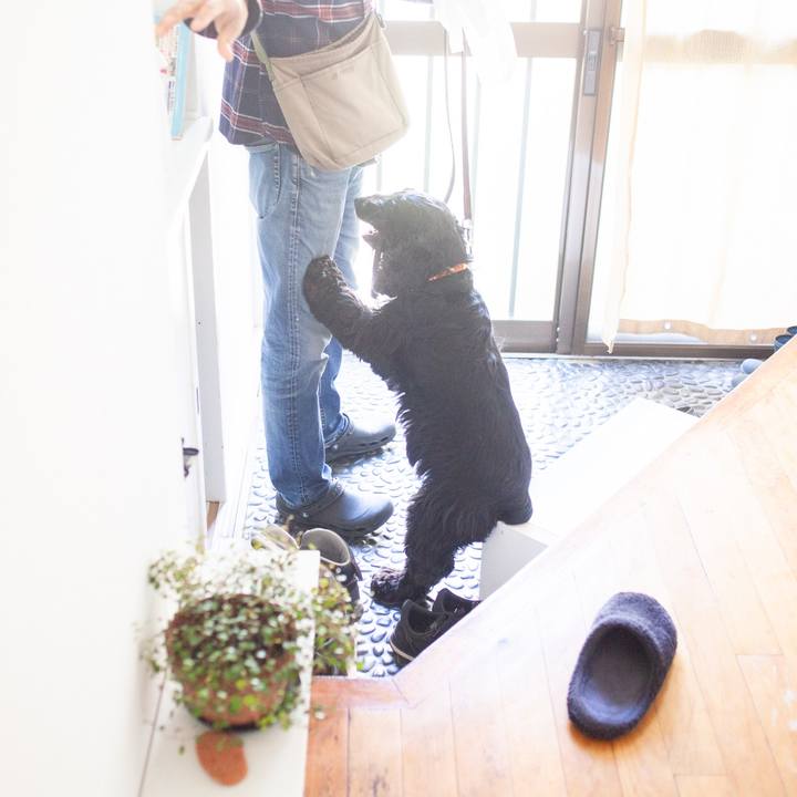 B14fdd6f eee6 45bd 820f fb22a99bed7d 1553226399133