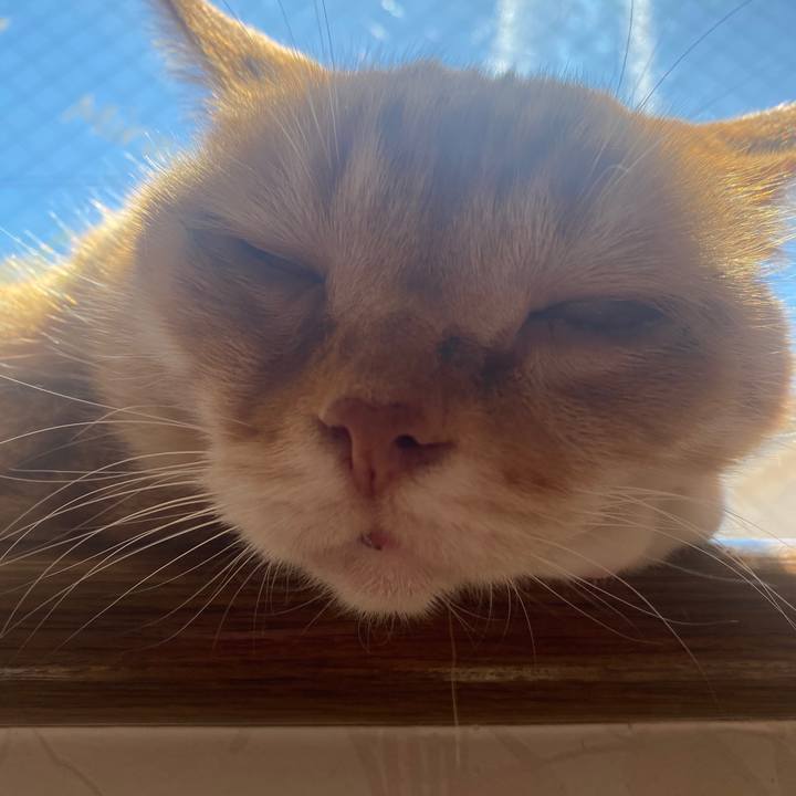 B15006fd a194 406e 894b 007e01a9816d 1587269096060