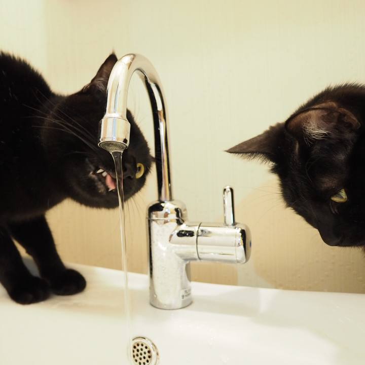 B1500a90 590f 46a4 9a9b 9e001dffe6f3 1550804897245