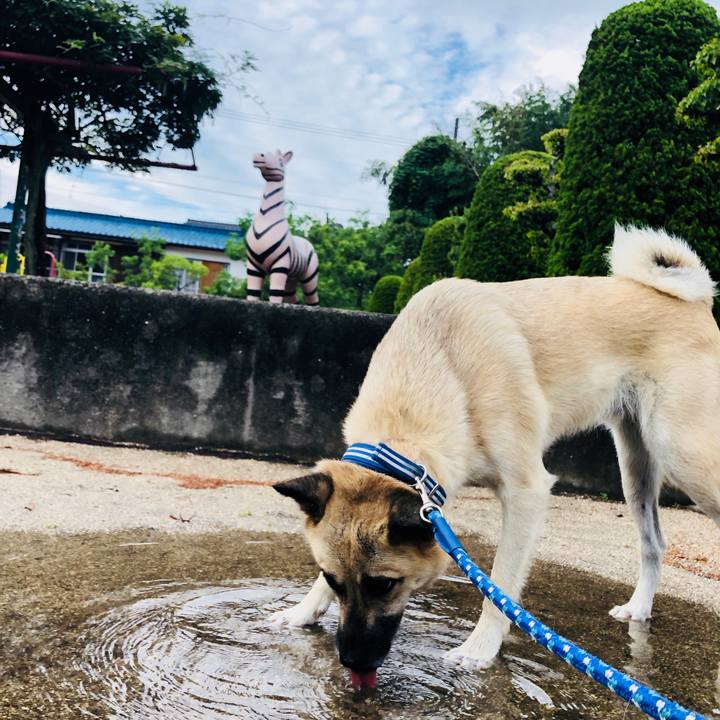 B15020b1 e3fa 4a25 84fc 3623220d3ece 1535800876160