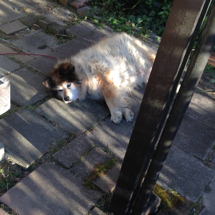 B1507a9e d8ee 4369 8d4d 8ac1b1540435 1548122338139