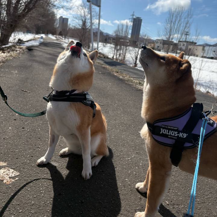 B150a4ca 5eb4 4892 b345 ee5a4a788b8b 1773455041005