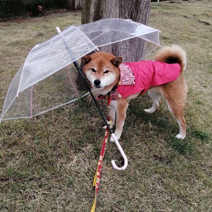 B150ca02 c889 4fbe 83a4 5757f17c8ef1 1585702223343