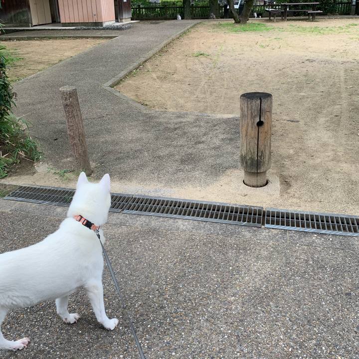 B150d824 0c9c 43cd aec7 ceb28ef5d34a 1563023236856