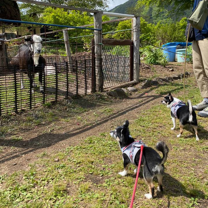 B150d8b9 cfdb 4e4f affd 63c206f2ca41 1683379817720