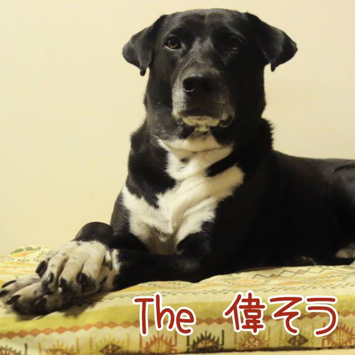 B150e6d9 e095 4d7c 93c7 bd5e13e7a87a 1668940068326