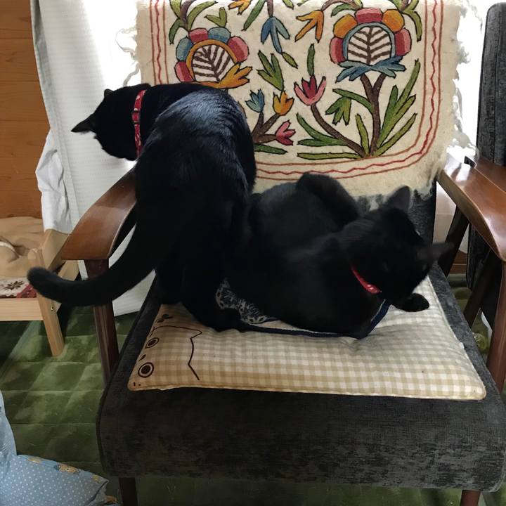 B150f134 80ae 403c 8235 48e3b2954a42 1524301473268