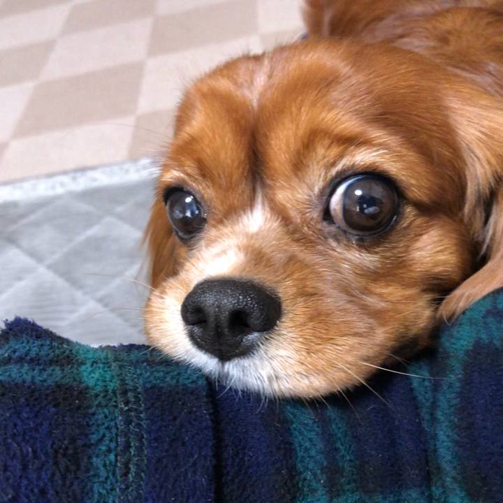 B151061f 6e37 4c0e b6d2 fe22c237a186 1637101262759