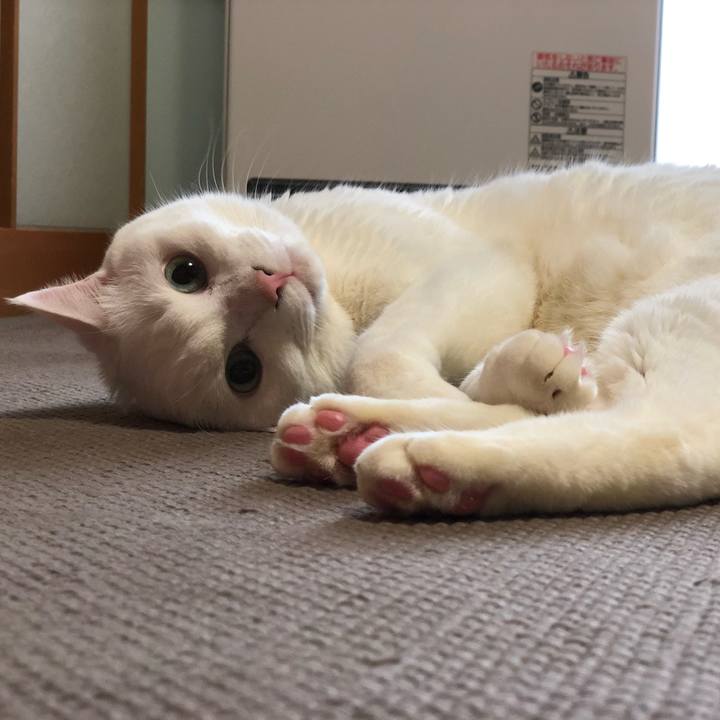 B151182d 7aa6 44d7 a6f4 94deccf25ce3 1638586262762