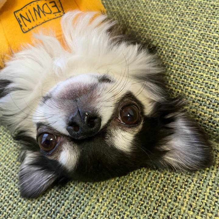 B1512cd6 f25a 46d3 bb3c ed578b6245d6 1675608467224