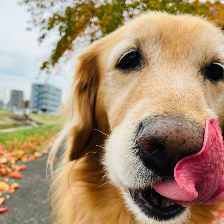 B1513b7d bea0 4d02 b99b 2a1c8ce7ed2e 1762758859213