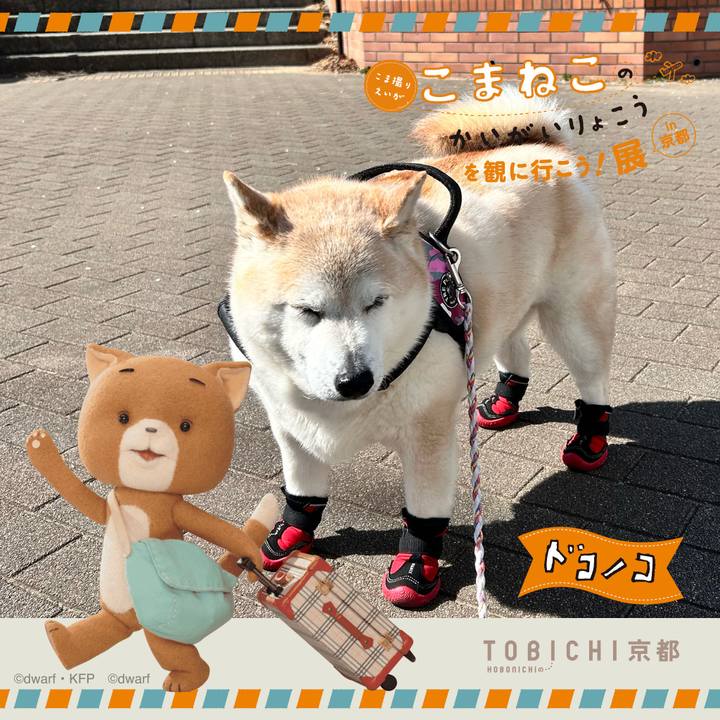 B1517943 ebab 4a91 93c1 ec82fed78ca5 1740117921725