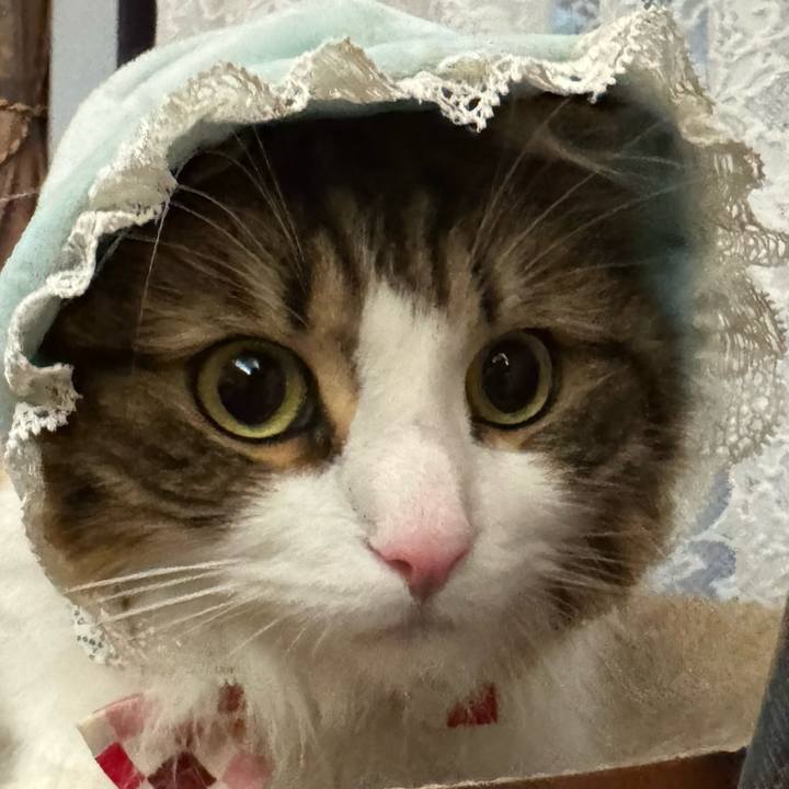 B1517eb6 707b 4367 833e 9021c304eb53 1772238917377