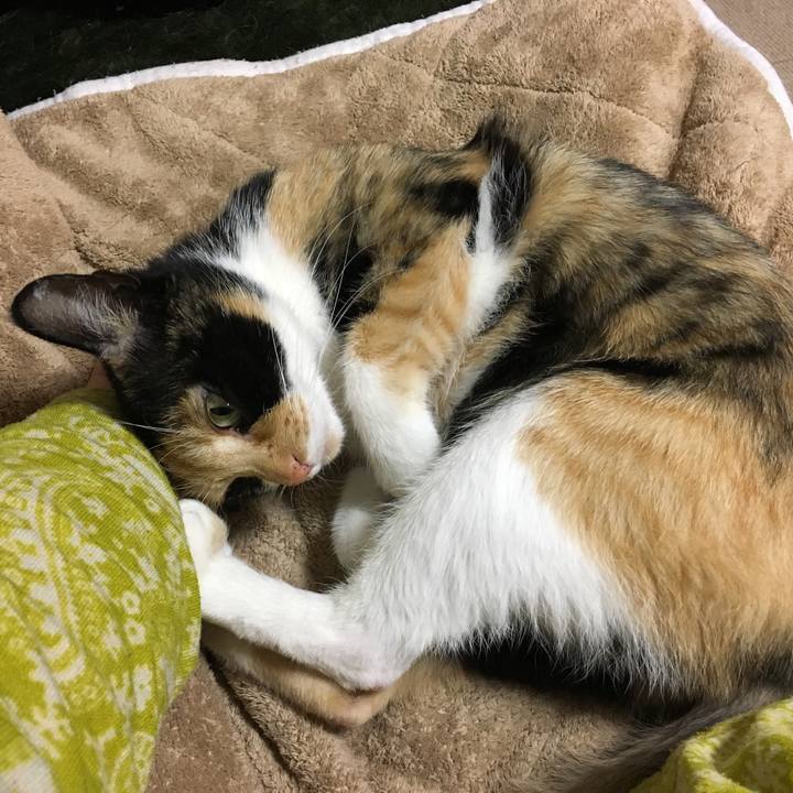 B151922d d009 48db b1cd 877f47134ad6 1518772467549