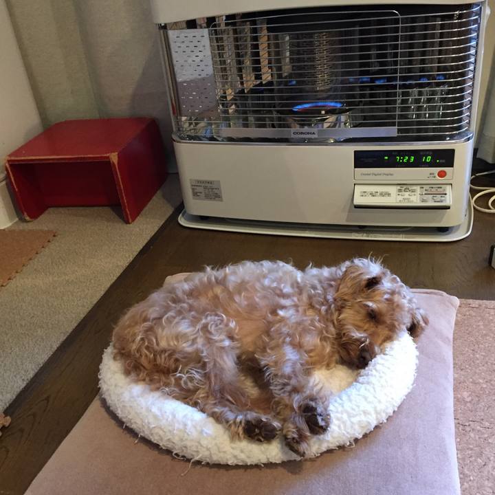 B151bd83 84f9 43c7 8c0b 3cf18fb28642 1511216537202