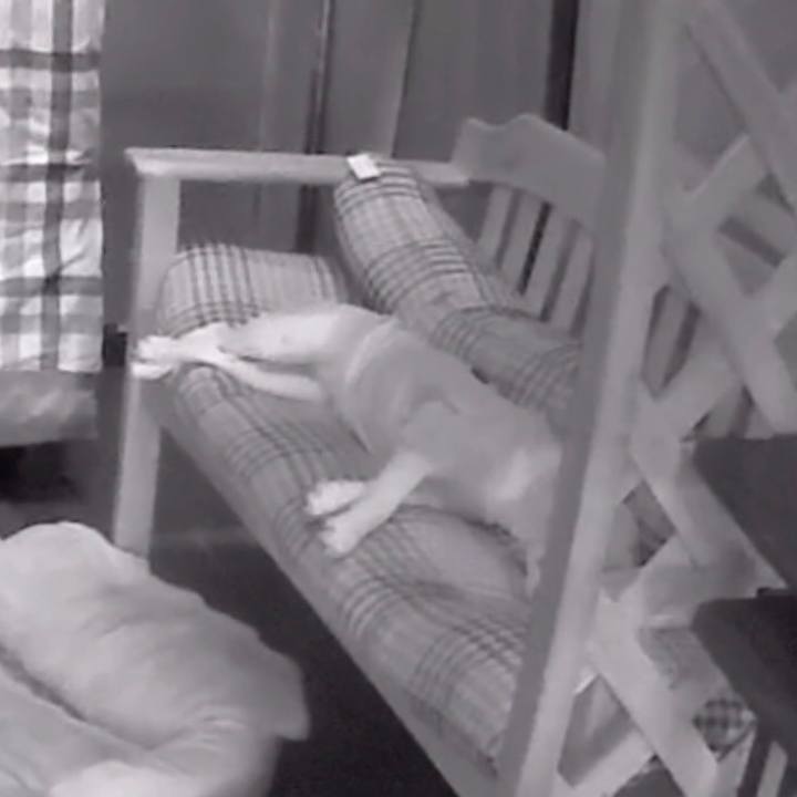 B151c089 bb5a 4150 a9e1 bce3fcc6ee08 1524809266031