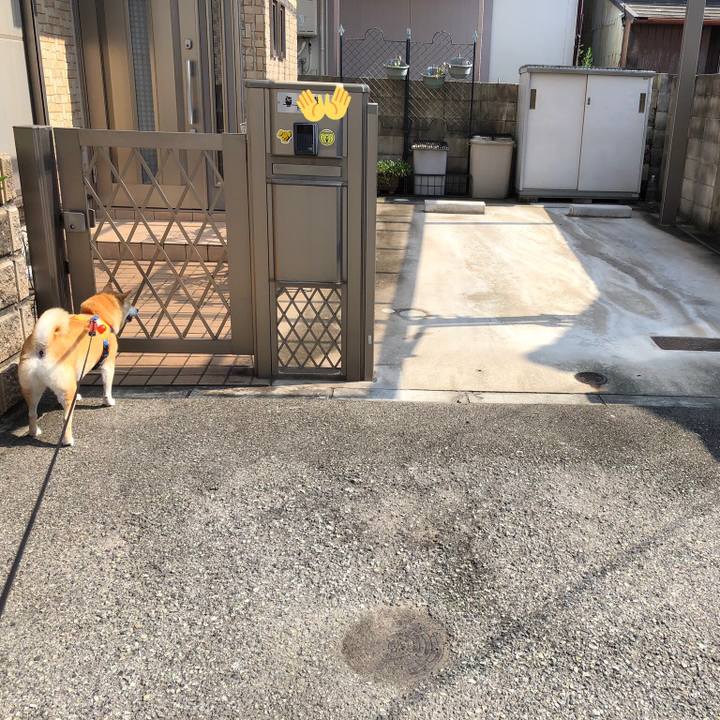 B15221fa 73fa 4bff 986b fd9a48185a0f 1564576600497