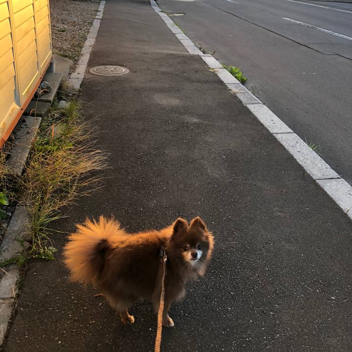 B1523171 3858 4877 8b78 6ce052c2ddc0 1634108820890