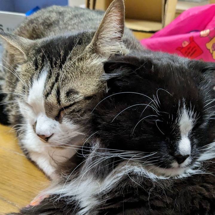 B1524063 7062 425e a642 5b7461495e7d 1711581902823