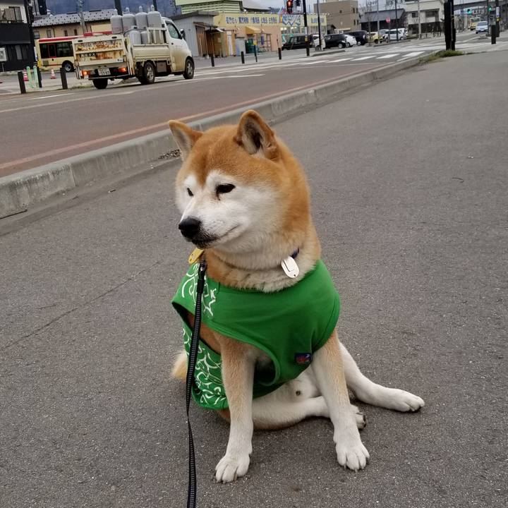 B1524aec c72a 450d a0b4 b2630cb35382 1587118391314