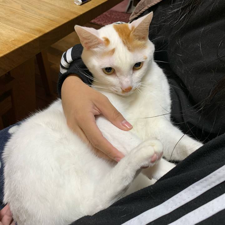 B1525f01 d1d6 4bfa a53f 9a4b3362fcab 1603278855062