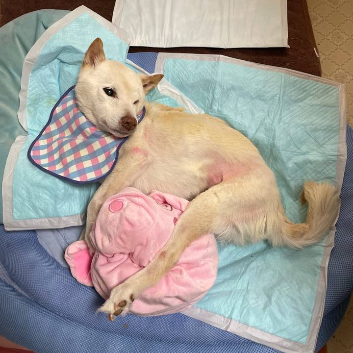 B15265ca 0aad 489e 96b9 267ccb6772c6 1674706277913