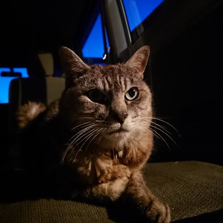 B152cee3 b37f 4fe5 ab12 edd13ec775c5 1566814822574