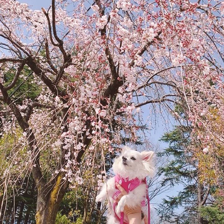 B152fc91 74c3 4ef3 b3e0 50570ec5af5a 1648089404777