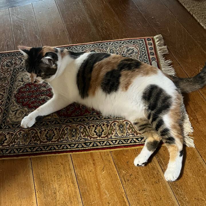 B1537d3b 21dd 40b3 8e66 732133297212 1758507282920