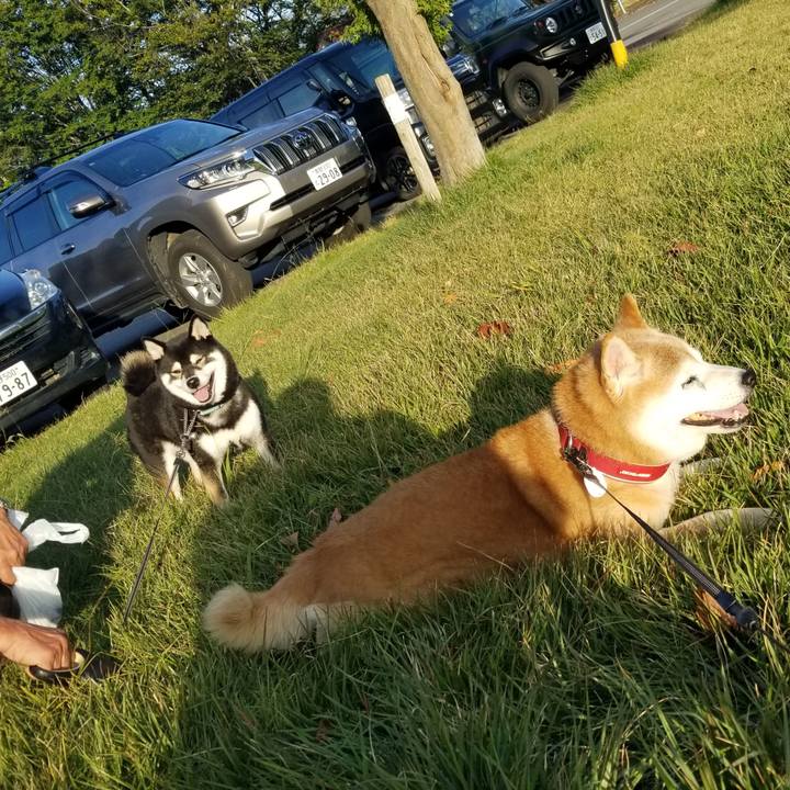 B1538242 d990 489c a08a 3f12fe5adf3e 1728889596720