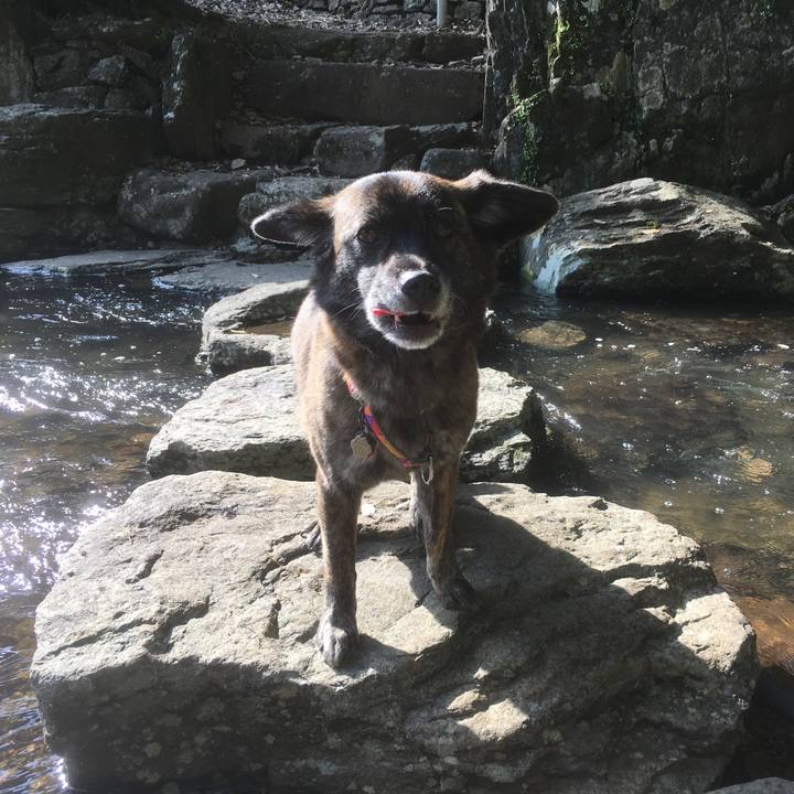 B153993e 6486 47f8 b71b 37936c841c54 1528376299796