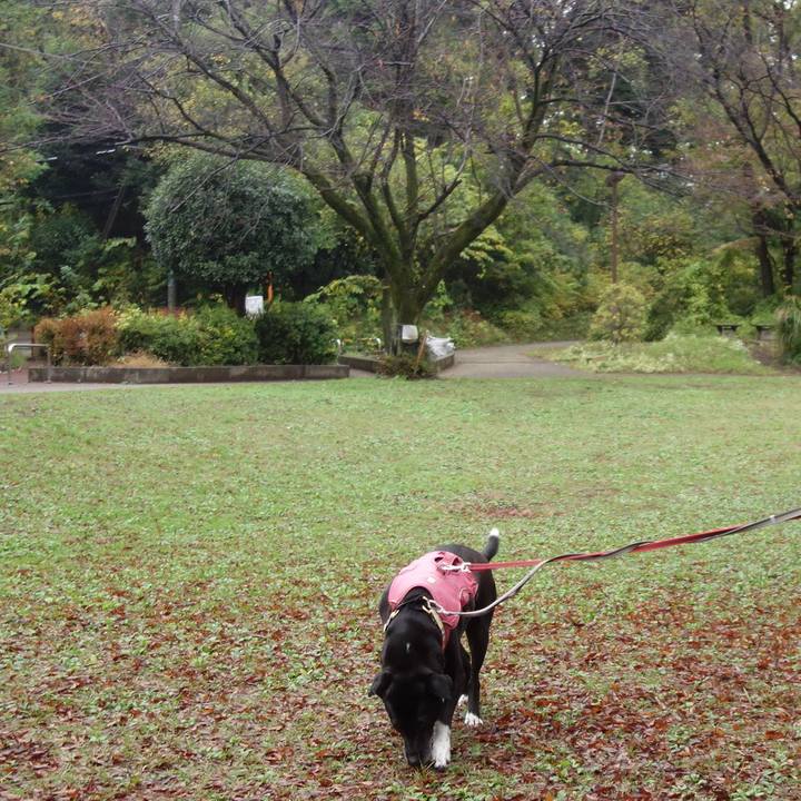 B153bec3 d1da 457e 88f0 b0636af62227 1700179558947