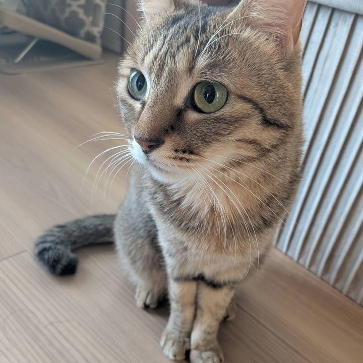 B153d21d dfee 473a 97f5 72d1440dd4e8 1766352668500