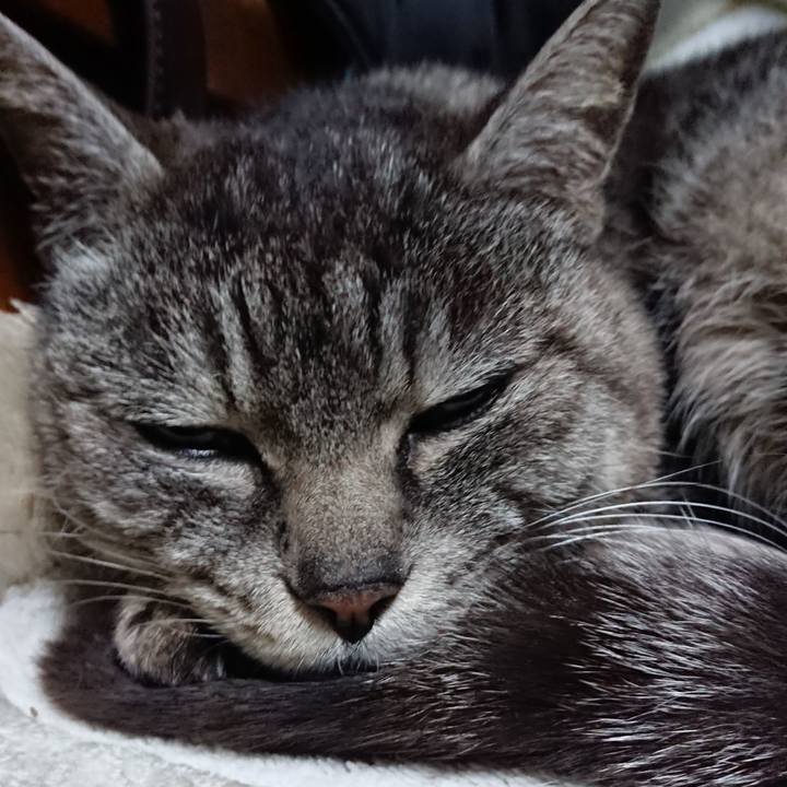 B153d4e0 5fcd 4907 a5db 7f3d0d53bcc4 1551268835927