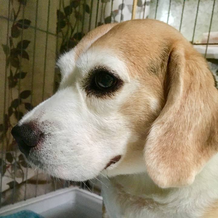 B153fc26 6244 4765 8410 f567a92646e0 1535242260918