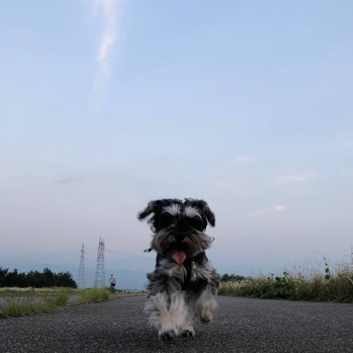 B1540760 3915 4e6f 95d4 71299c8480a4 1623334391086