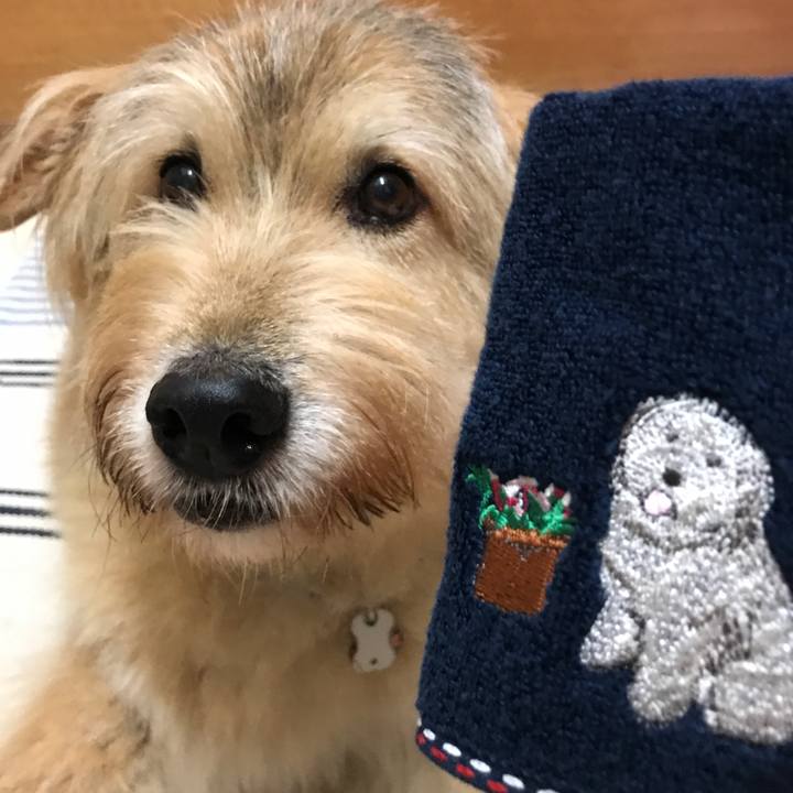 B15416a6 acd2 4ea0 8405 8dc0b133b9f4 1660702239312