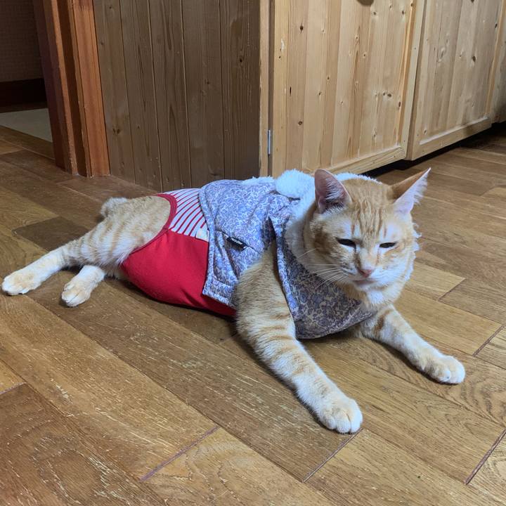 B1547c8c d511 4aa8 a67e 47ded70cc9f8 1594123974665