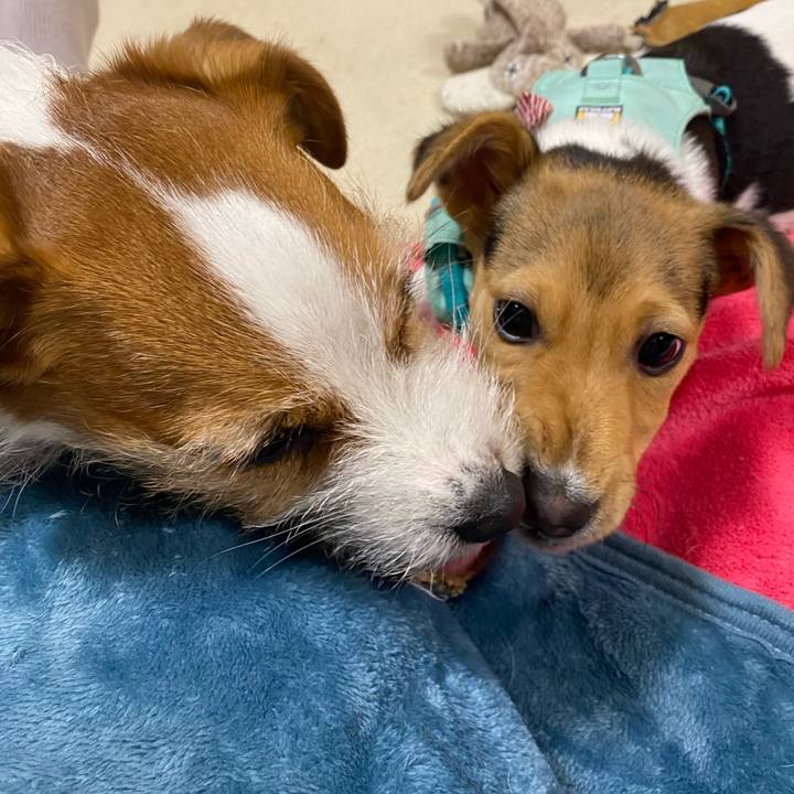 B1549a9d f89b 4442 8f6d cfda9af6513e 1746019448897