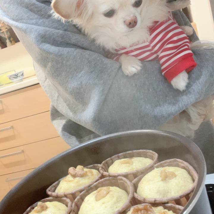 B154eea9 f604 4611 984c 3c2b3b7bd34a 1702905312330