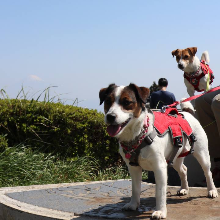 B1554ec6 7a94 4472 bbc6 5e5937342e7c 1524296607888