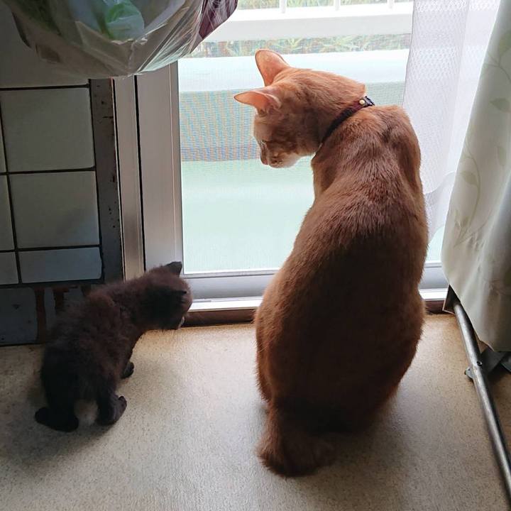 B1554f9d 04b6 4c11 9cb9 da26e672c647 1593179896958