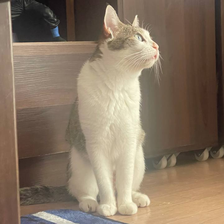 B15561a3 463c 4da2 909b 79ef0d988bf3 1629436955045